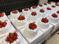 원데이 클래스 딸기 케익~~~~~~~~~